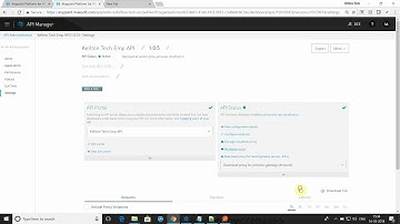 Custom policy Sequencing API Policy Anypoint plateform