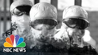 Humans To Blame For The Coronavirus? How Deforestation Gives Rise To Pandemics | Think | NBC News