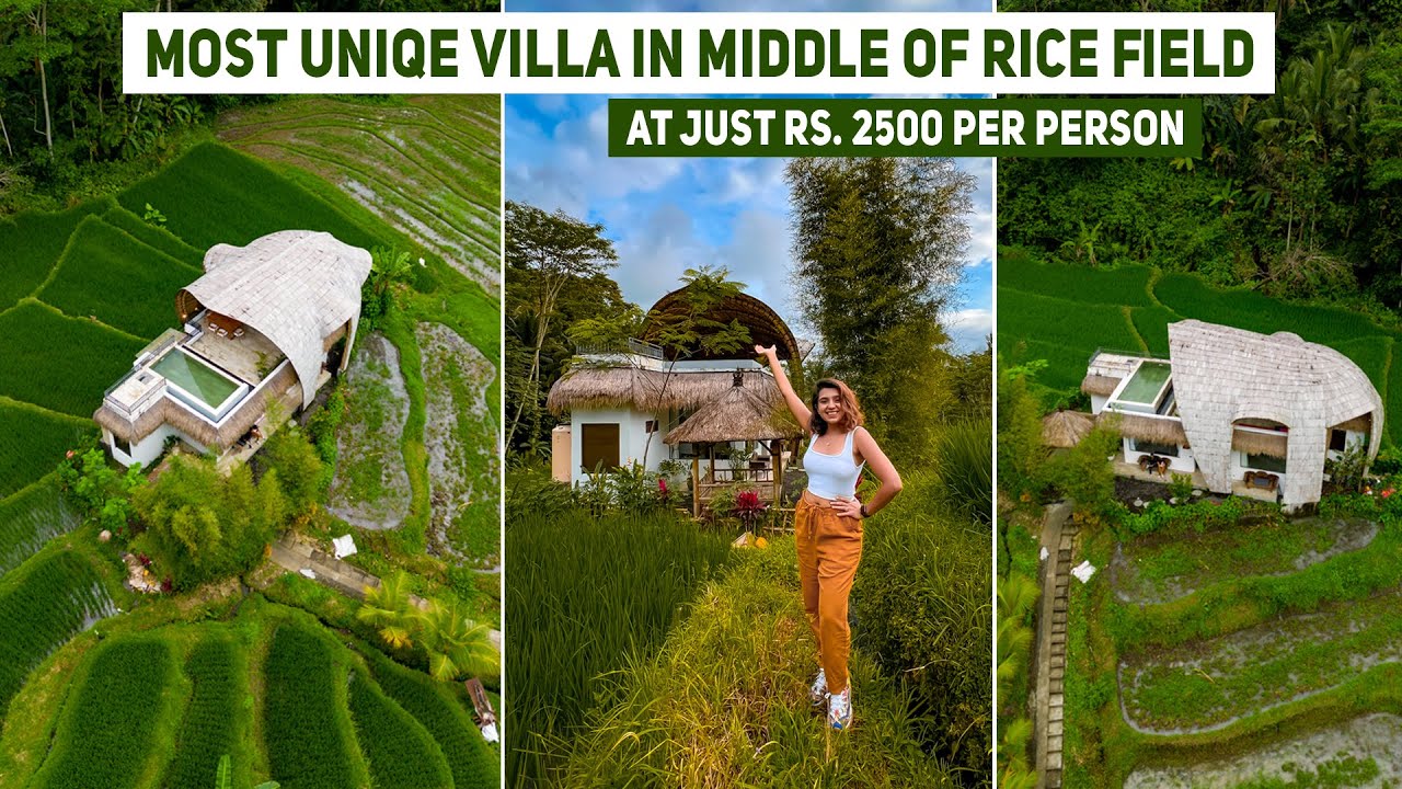 booked-this-stay-at-just-2500-per-person-most-unique-stay-in-bali