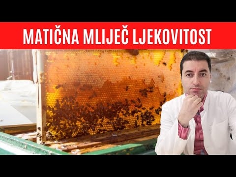 MATIČNA MLIJEČ - LJEKOVITOST