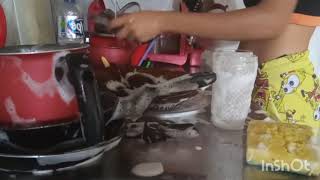 A Mini Faxina Da Garota