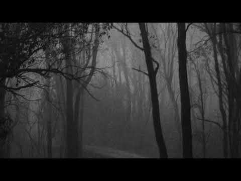run rabbit run ( slowed and reverb )