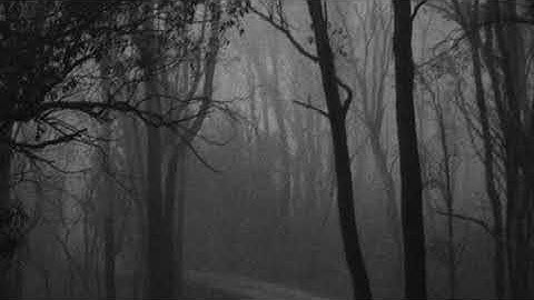 run rabbit run ( slowed and reverb )