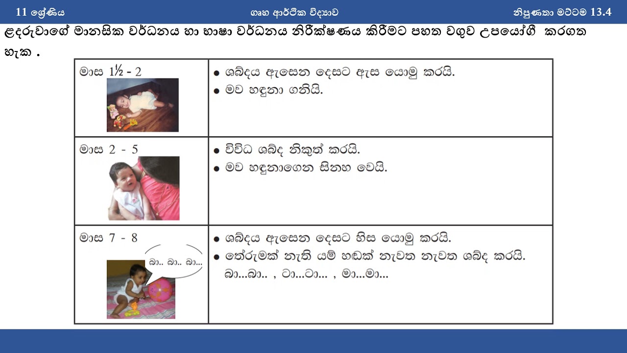 Grade 11 Unit 13 E thaksalawa YouTube Grade 11 unit 13 e thaksalawa youtube