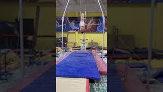 Artistic gymnastics. Borysov Maksym. Ukraine.