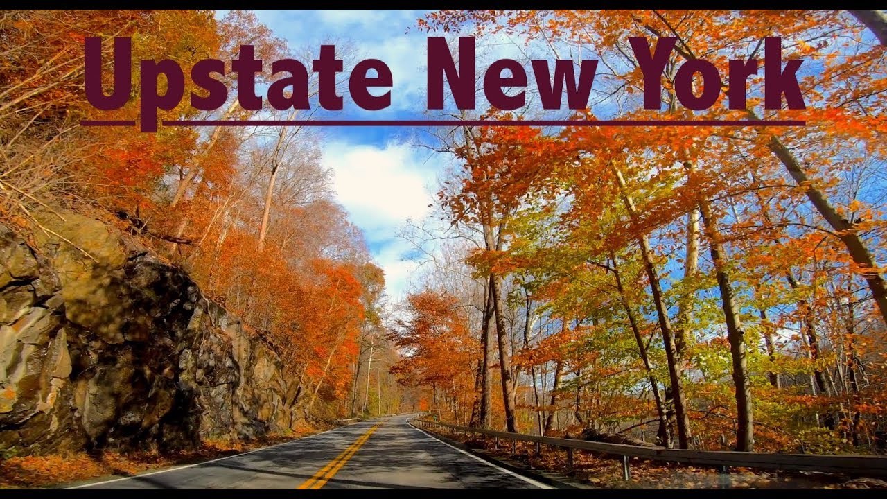 upstate new york counselor tour