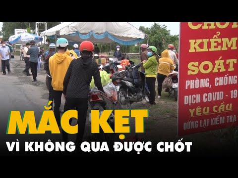 Video Nhiều trẻ em, phụ nữ cùng gia đình bị kẹt ở Long An vì... - youtube