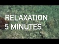 Relaxation guide en 5 minutes  ginkgo