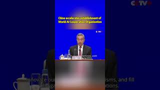 China accelerates establishment of World AI Cooperation Organization
