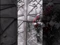 مشتاق والشوق لا من زاد وشلون اجيك نادر الشراري طالبك وارتجيك تصاميم شيلات تصميم شيلة 