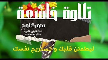 💚[سورة نوح]💚 تلاوة هادئة تنشرح لها الصدور وتطمئن القلب | نور القرآن | Quran Light