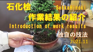 今日も盆栽日和 石化桧♯20 成長記2021.11 - YouTube
