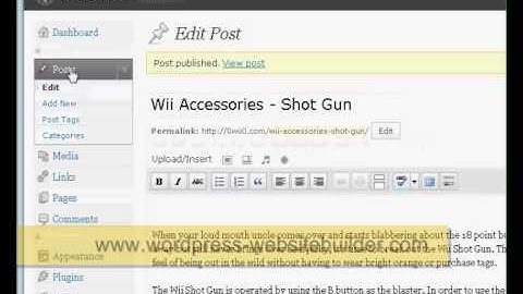 Schedule posts to publish automatically in a Wordpress website