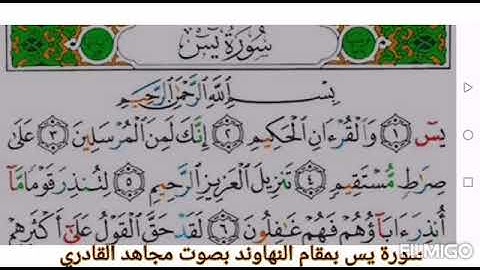 سورة يس بمقام النهاوند بصوت مجاهد القادري