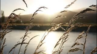 Alam...natural beauty