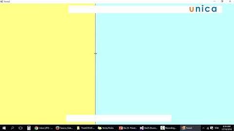 Panel & SplitContainer
