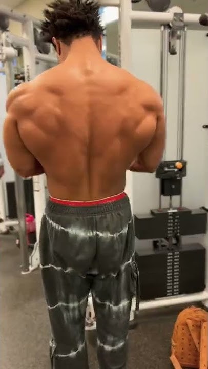 thetruealpha-6-4-240-lbs-15-7k-on-twitter-which-one-of-you