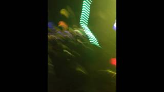 Bassnectar at Electric Forest 2016 (Opening set)