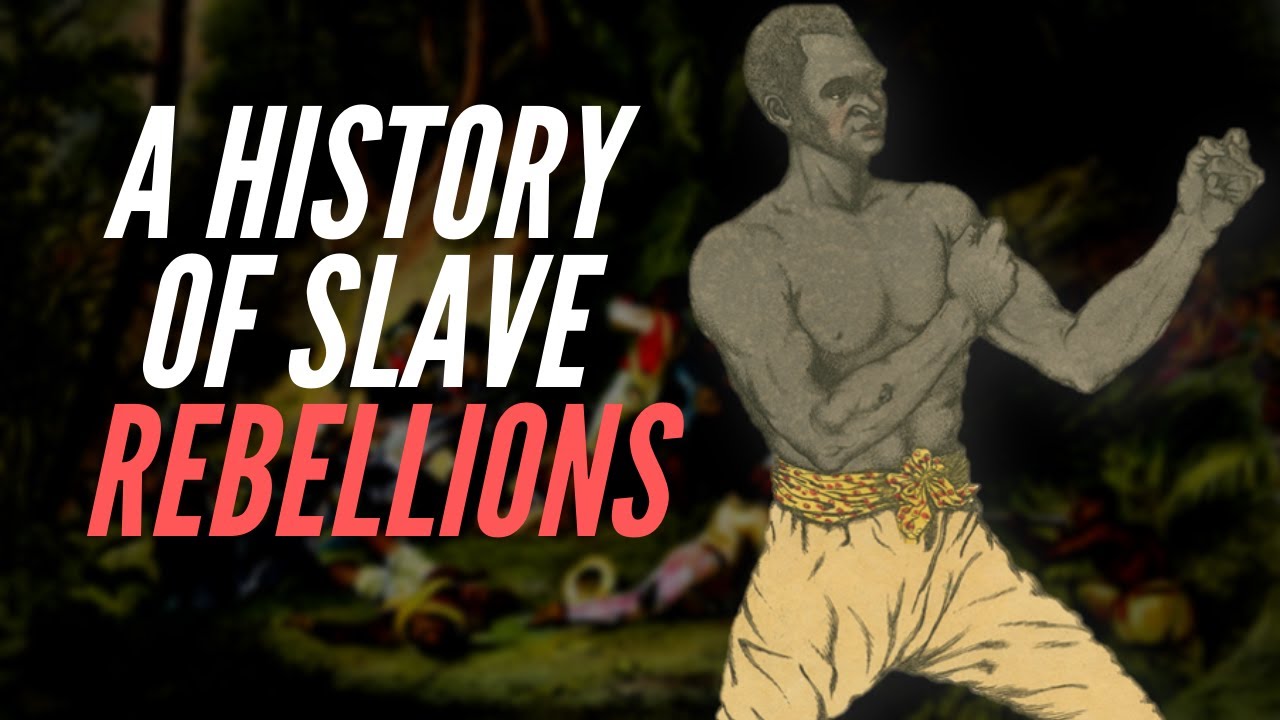 ⁣A History Of Slave Rebellions!