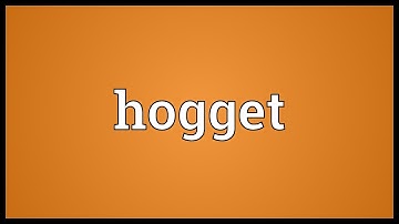 Hogget Meaning