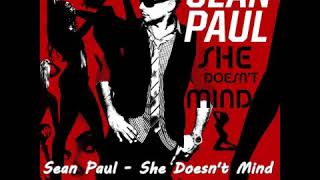 Dj Hakan Keleş Ft Sean Paul - She Doesnt Mind Resimi