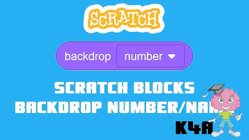 Scratch blocks - backdrop number/name