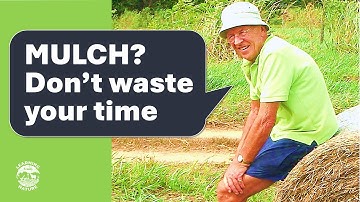 The SHOCKING Truth About Mulch (Science Explained)