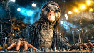 Download Lagu DJ Donald Duck — Afro Duck Ritual | Melodic Techno \u0026 Tribal House Mix MP3 Download Lagu DJ Donald Duck — Afro Duck Ritual | Melodic Techno \u0026 Tribal House Mix MP3