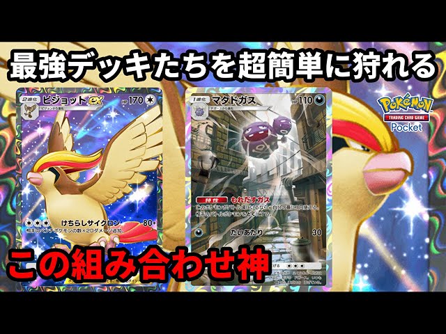 ピジョットexとマタドガスの相性が神すぎて最強デッキたちを超簡単に狩