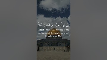 تلاوة هادئة للآية 186 من سورة البقرة بصوت الشيخ ياسر الدوسري #ياسر_الدوسري
