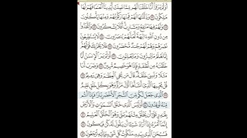 أواخر سورة يس .. فضيلة الشيخ صادق عتريس