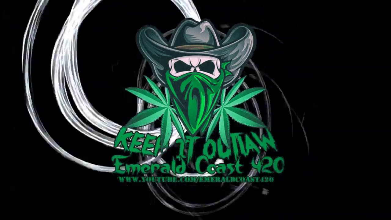 tips for when to move  your plants outside