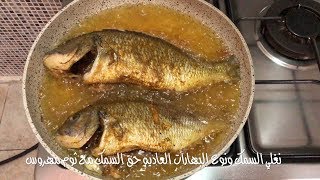 صيد وطبخ سمك الشعم مرقة حمراء