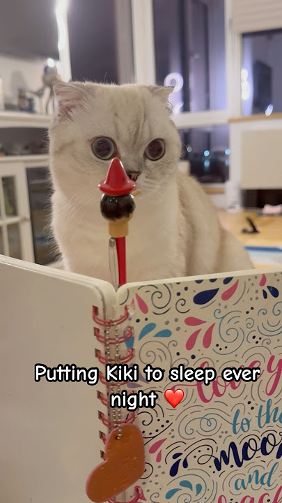 Saw this trend and immediately thought of Kiki 🥰 #kikicutekitty #comeback #imissyou #mom #kids #fyp