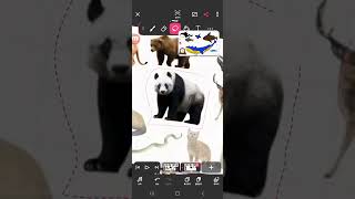 Hickory dickory dock flippy the seal 