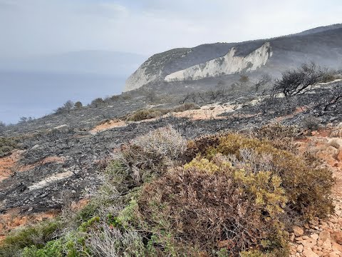 Ζάκυνθος: Πυρκαγιά – Βολίμες | Κρανίου τόπος η περιοχή πάνω από το «Ναυάγιο» [5/10/20]