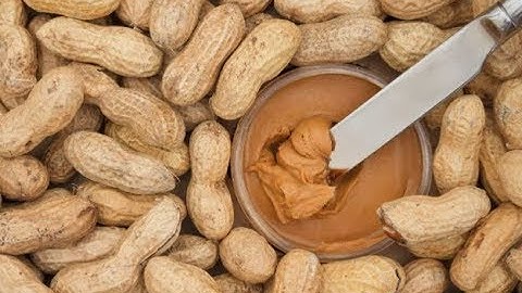 Automatic Peanut Paste Making Machine|Groundnut Butter Production Line