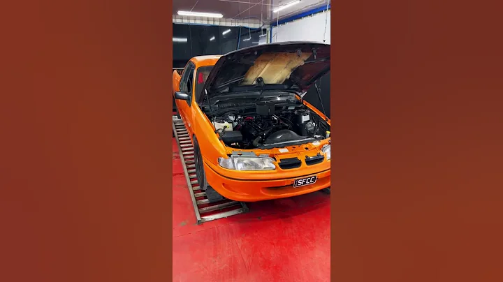 Holden VS 304 Dyno