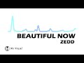 zedd - Beautiful Now (VOCALS ONLY) DOWNLOAD