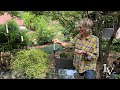 Seating Ideas Landscaping Outdoor