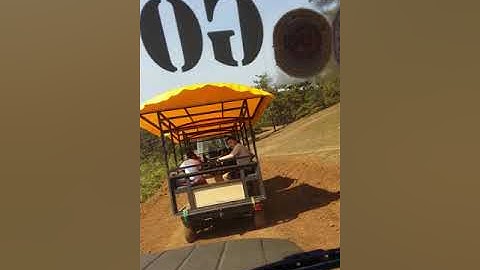 Cây thông cô đơn nguy hiểm lắm nhé(4)