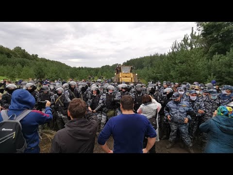 Видео: Шийхан Робърт: биография, кариера, личен живот