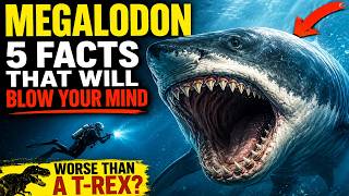 Could Megalodon Still Exist Here’s the Brutal Truth