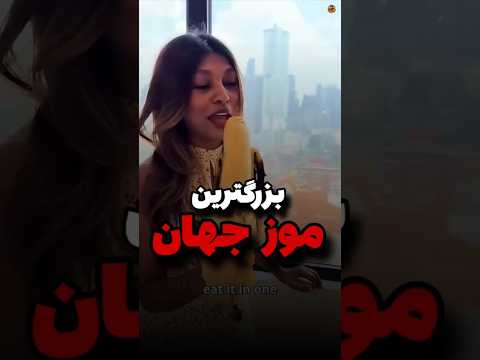 موز به این بزرگی