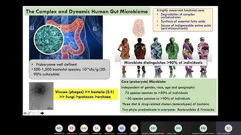 Prof Carding : Microbiome and FMT