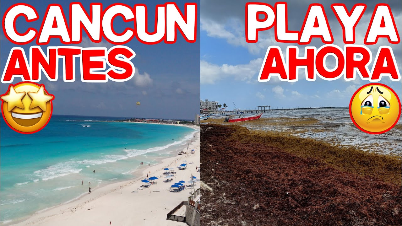 CANCÚN SARGAZO 2026 - PLAYAS sin SARGAZO SARGASSO - YouTube