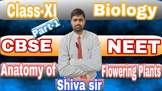 Anatomy of Flowering plants | Class-XI Biology|Part -1 | CBSE-NEET
