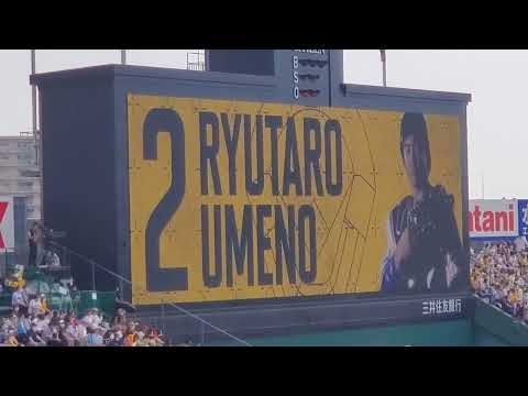20220618　梅野隆太郎 偶数打席の登場曲【｢繋いでいけ｣／Bigfumi】　3回ｳﾗ第2打席　阪神ﾀｲｶﾞｰｽ@阪神甲子園球場･ﾚﾌﾄ外野