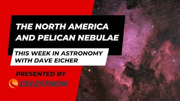 The North America and Pelican nebulae: This Week in Astronomy with Dave Eicher 7/15/2024