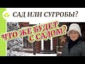 Сад или сугробы? Что нас ждёт?